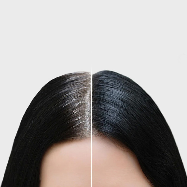 gray hair coverage